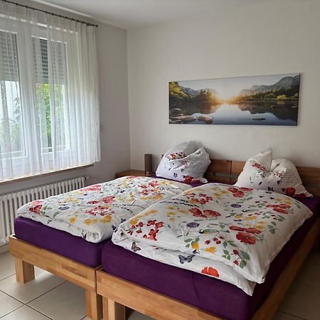 Klettgauperle - Familien- Und Behindertengerechte Ferienwohnung Griessen Exteriör bild