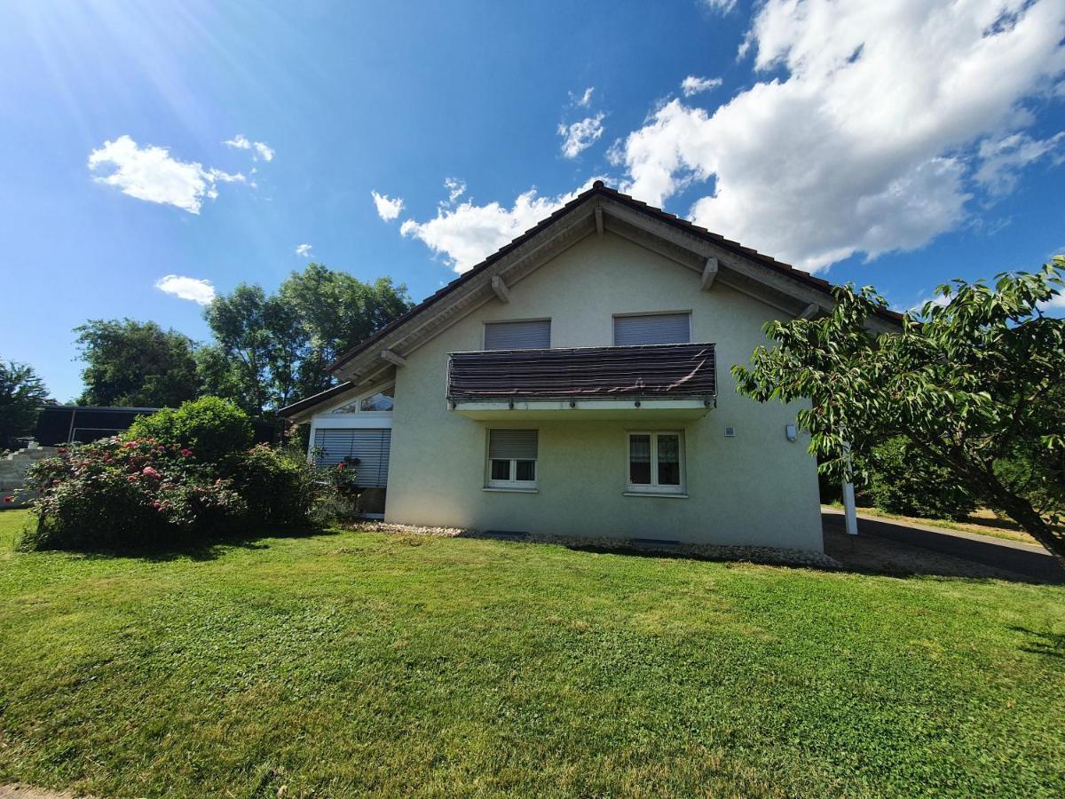 Klettgauperle - Familien- Und Behindertengerechte Ferienwohnung Griessen Exteriör bild